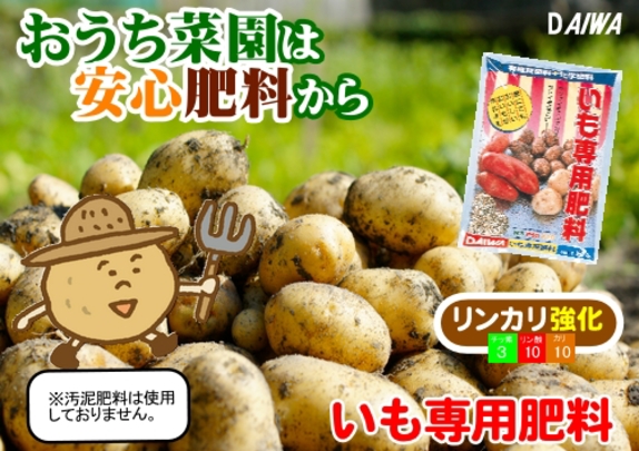 260909おうち菜園は安心肥料から いも専用肥料 POP.jpg 260909おうち菜園は安心肥料から いも専用肥料 POP.jpg