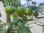 image01.jpeg