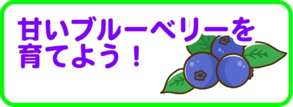甘いブルーベリーを育てよう!.jpg 甘いブルーベリーを育てよう!.jpg