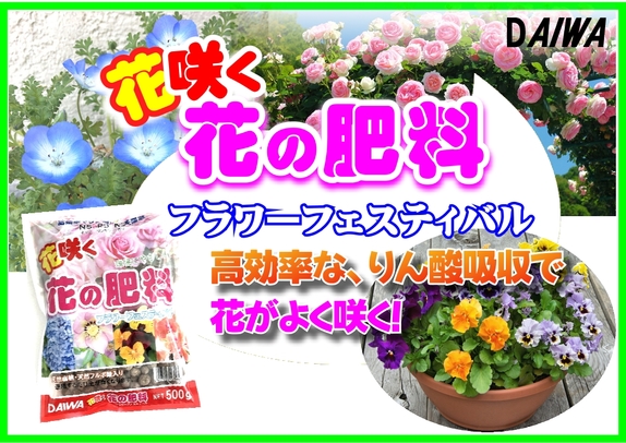 花の肥料　C　POP.jpg