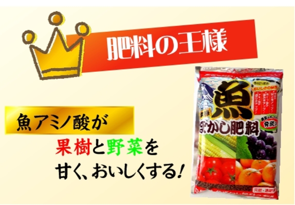 魚ぼかしホームページ3.jpg 魚ぼかしホームページ3.jpg