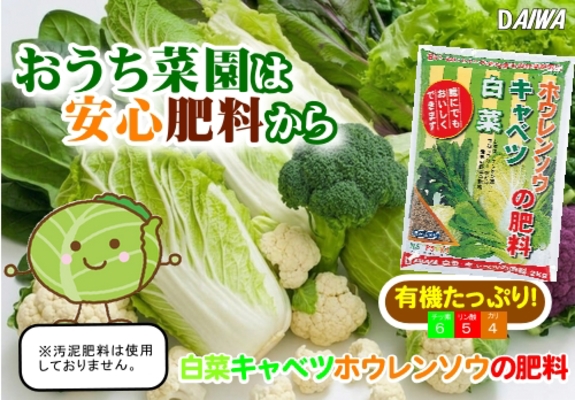 260909おうち菜園は安心肥料から白菜キャベツホウレンソウの肥料　POP.jpg